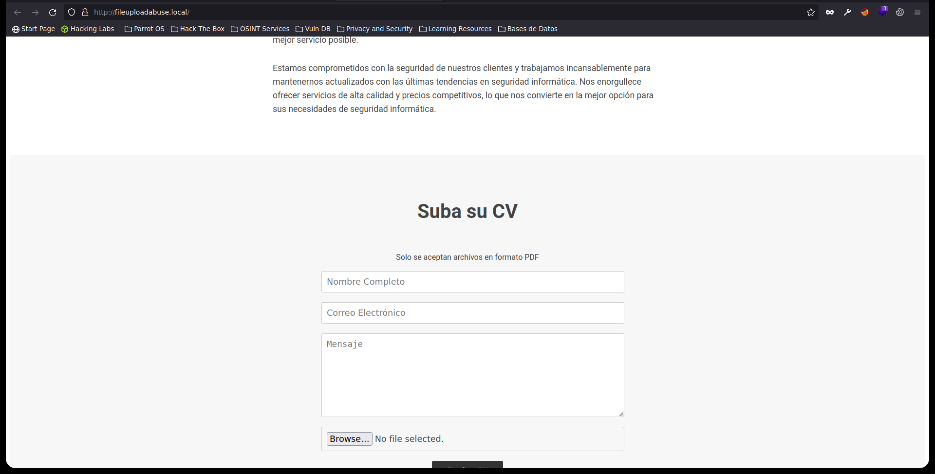 WebVulnLab Screenshot 3